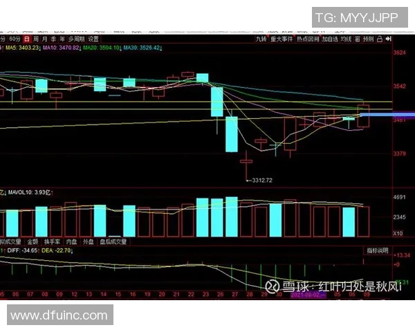 广州羽毛球队与南京羽毛球队赛后复盘分析比赛节奏与战术对比