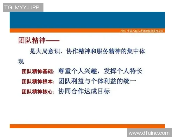 武汉排球队的精神与团队意识探讨：排球运动中的凝聚力与奋斗精神